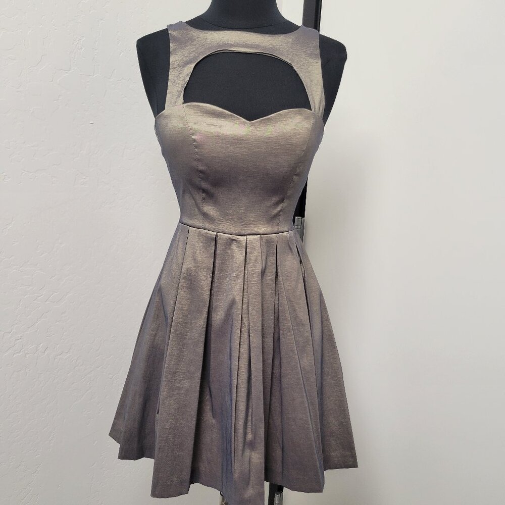 Pewter Fit and Flare Dress